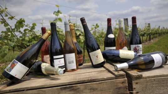 La Bihourderie bottles of wine from Loire Valley